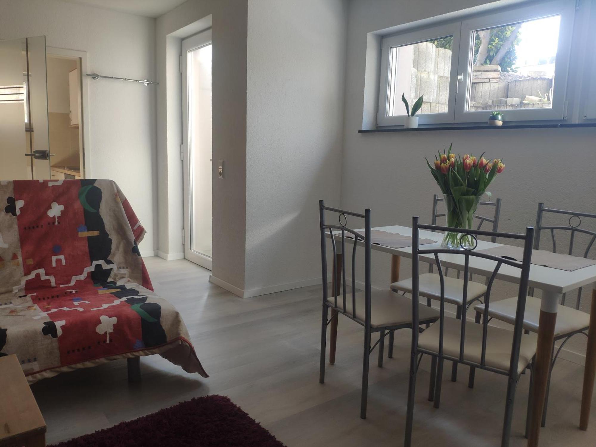 Apartment Und Privatzimmern In Freiburg 部屋 写真